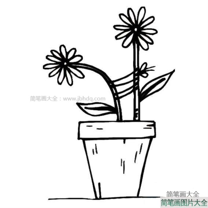 盆里的小花简笔画