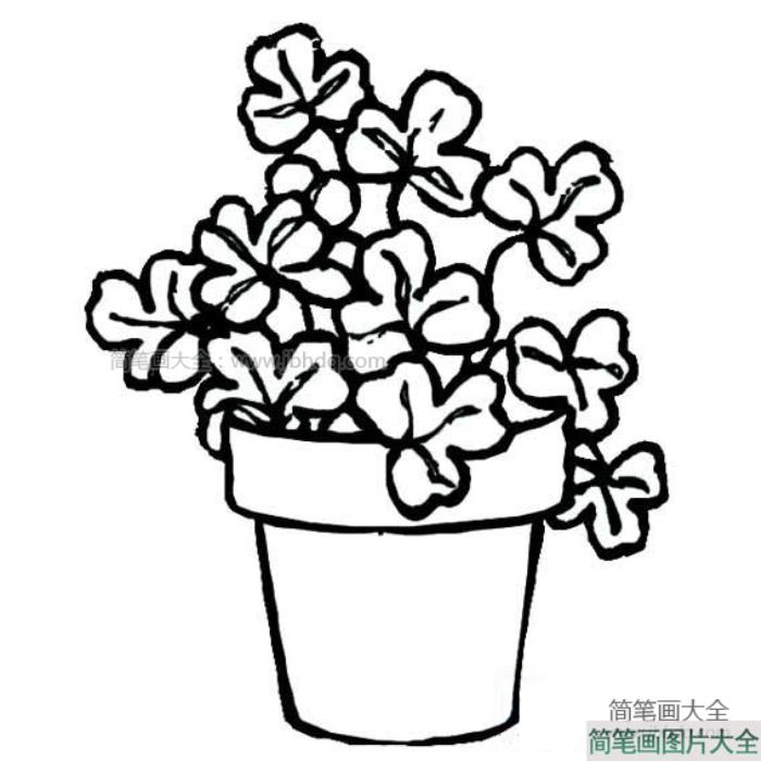 盆里的小花简笔画  第2张