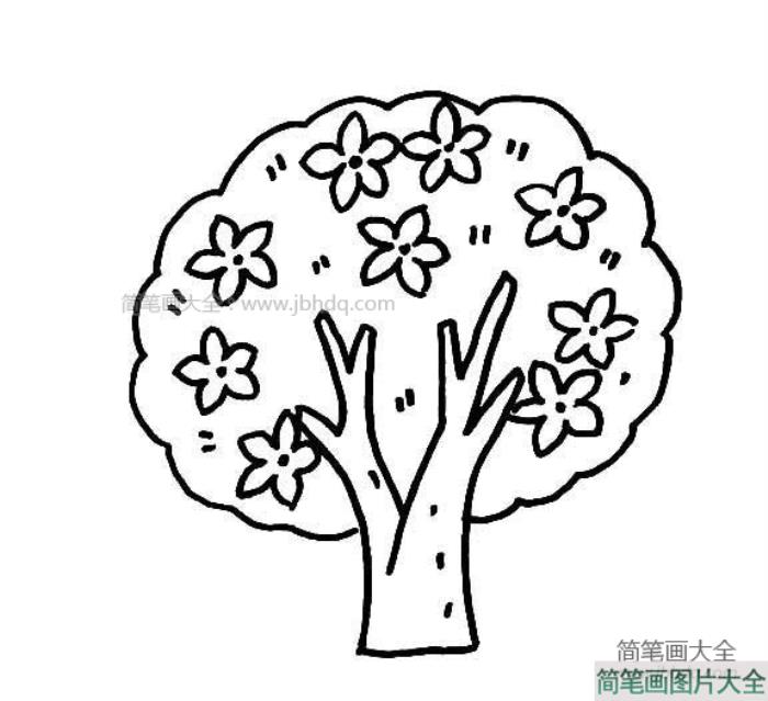 桃花树简笔画图片