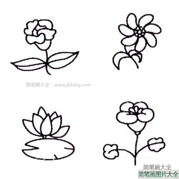 可爱的花朵简笔画图片