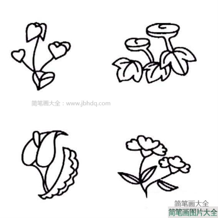 简笔画图片花朵  第2张