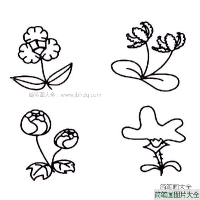 各种花朵简笔画图片  第2张