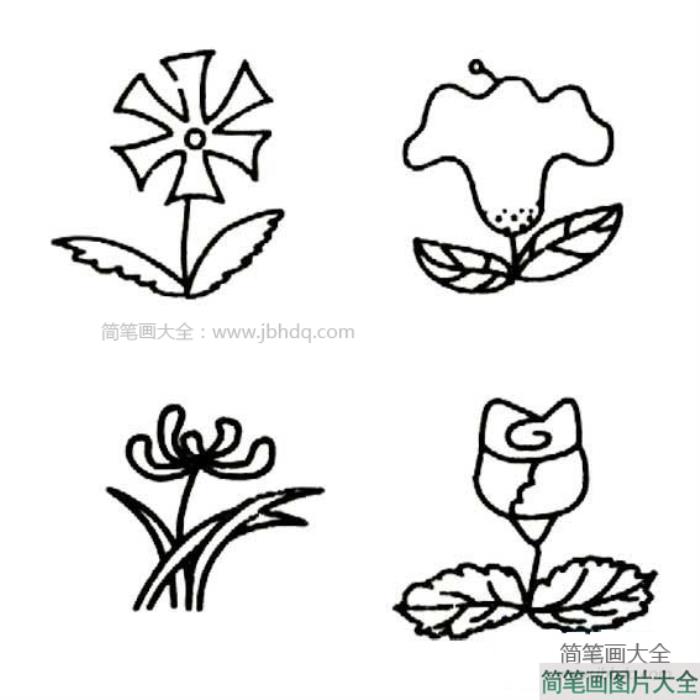 花朵的简笔画图片  第1张