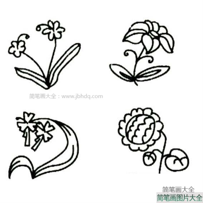 花朵的简笔画图片  第2张