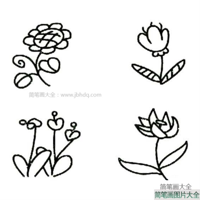 花卉简笔画图片  第1张