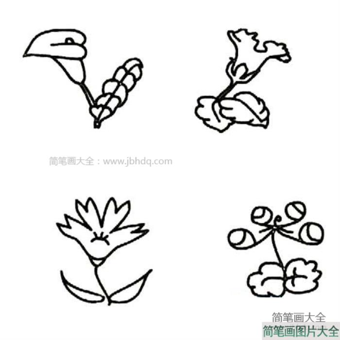 最简单的花朵简笔画  第1张