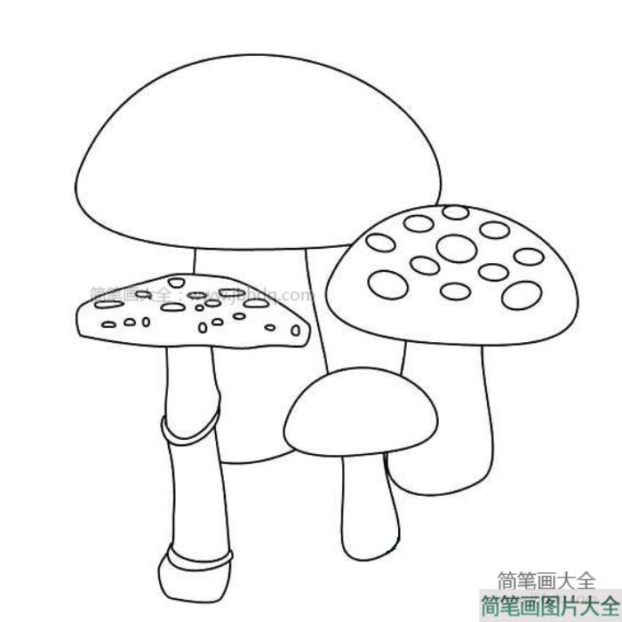 蘑菇简笔画图片  第1张