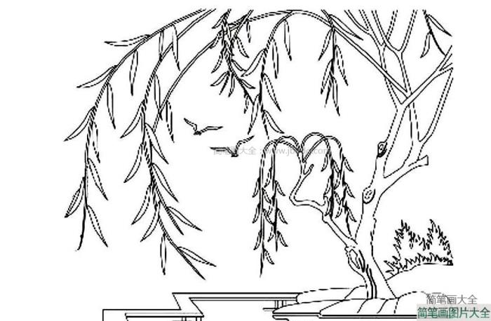 小河边的柳树简笔画  第1张