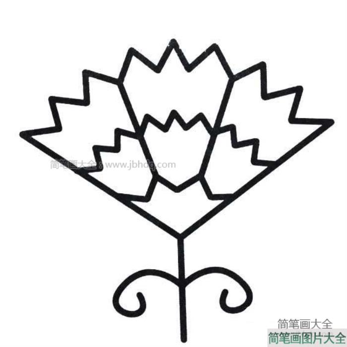 教师节礼物之康乃馨  第4张