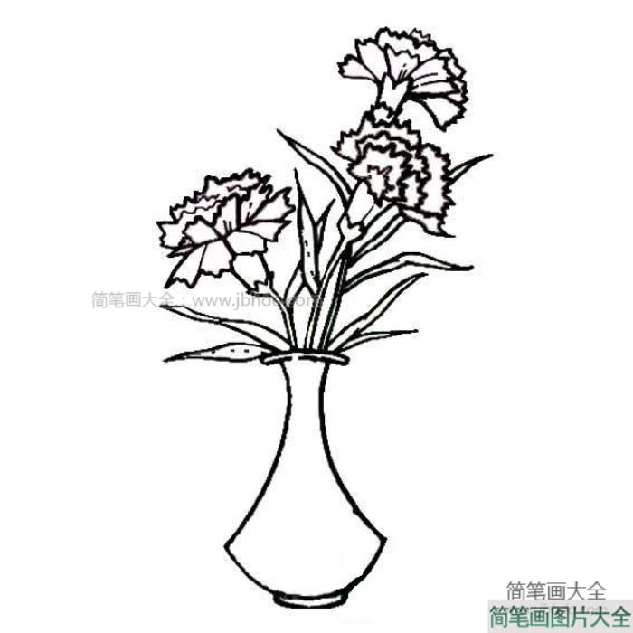 教师节礼物之康乃馨  第6张