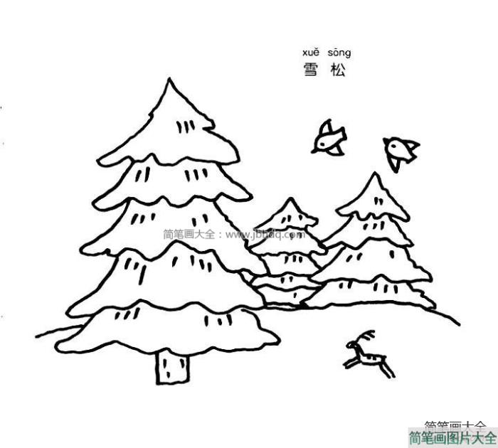 雪松简笔画图片  第1张