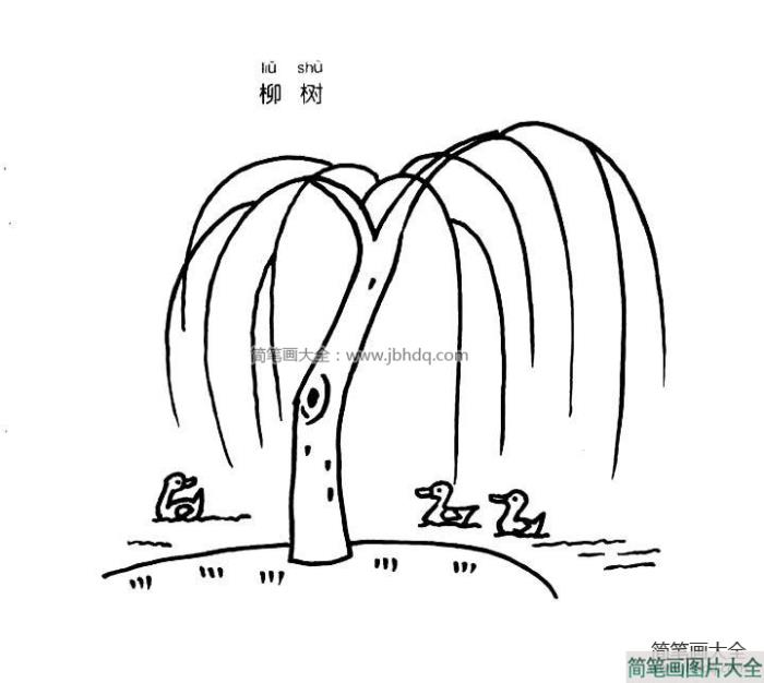 柳树简笔画图片  第9张