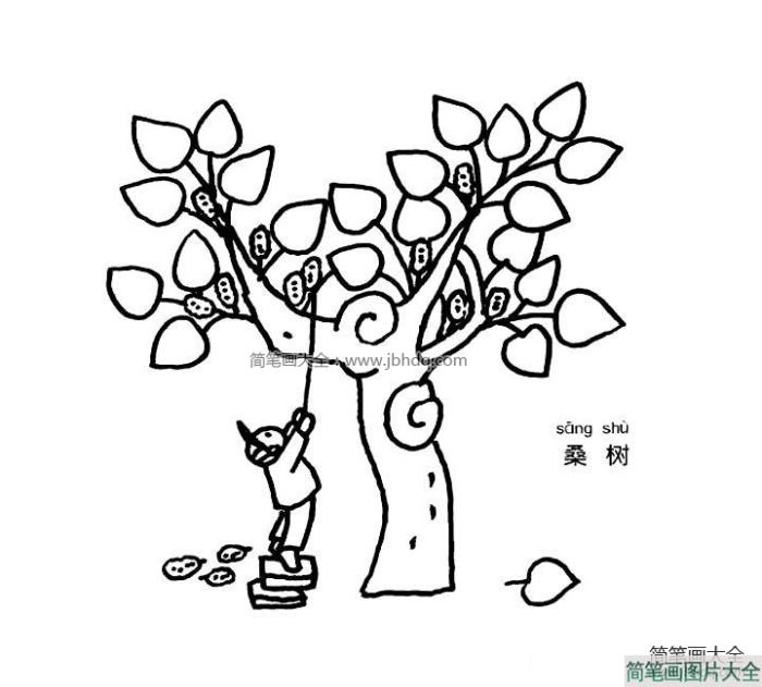 桑树简笔画  第1张