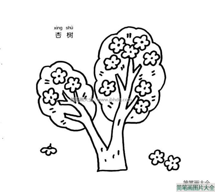 杏树简笔画图片  第1张