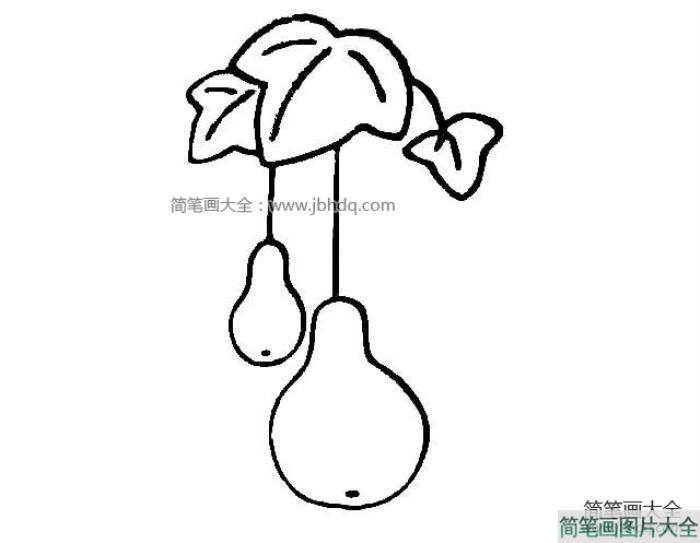 葫芦简笔画图片