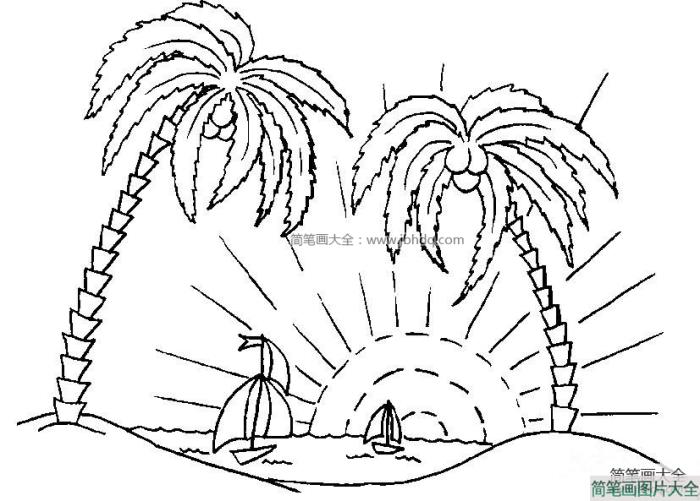 海边的椰子树  第1张