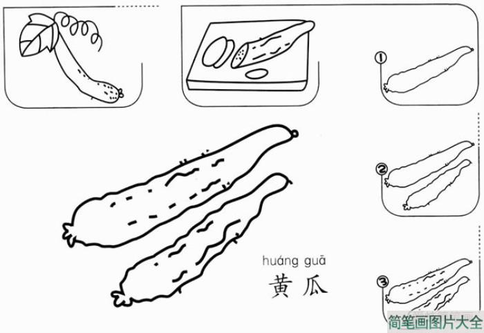 黄瓜怎么画简笔画  第1张