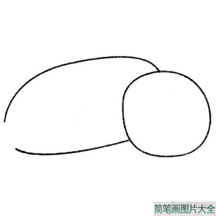 莲藕简笔画