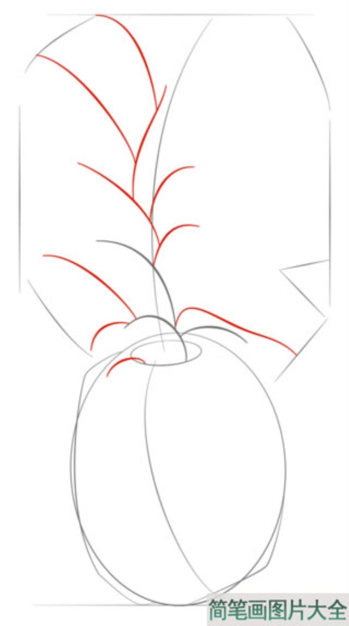 菠萝简笔画  第4张