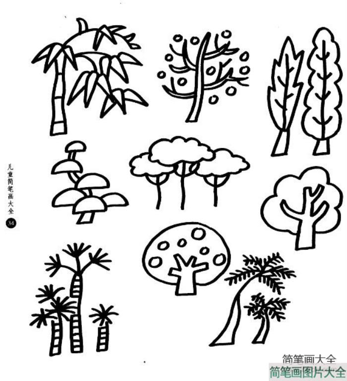 树木树木线描组图组图  第1张