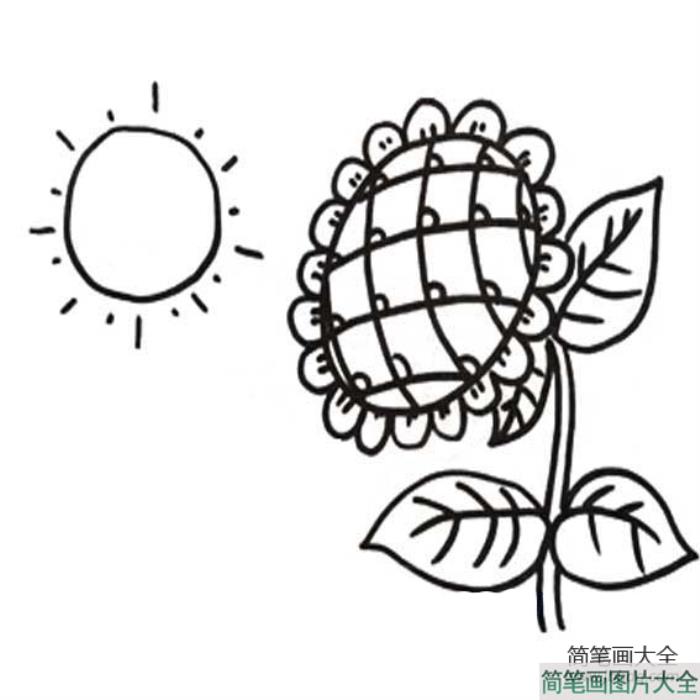 向日葵简笔画  第1张