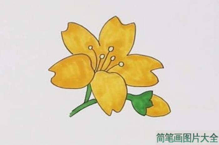 彩笔怎样画漂亮的迎春花  第3张