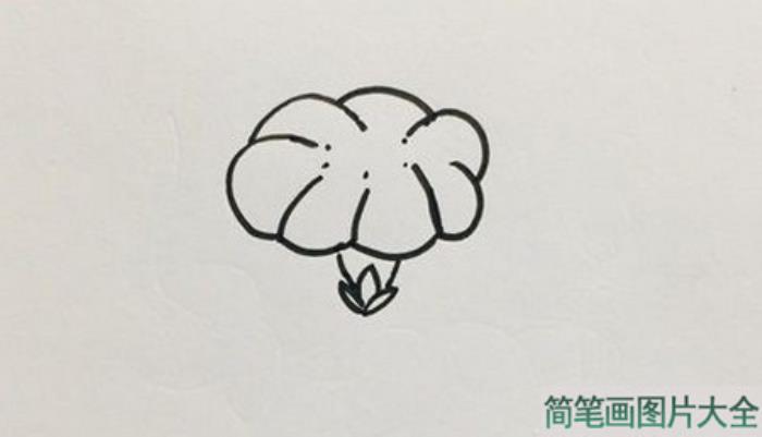 牵牛花怎么画最简单的画法