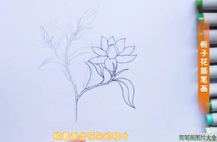 栀子花简笔画简单漂亮  第2张