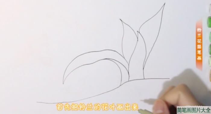 怎么画铃兰花简笔画