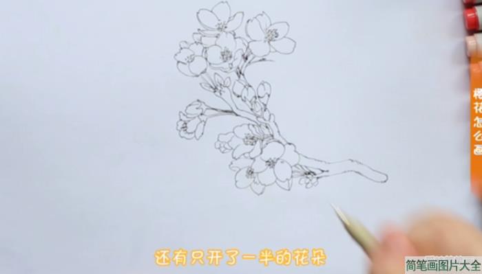 樱花简笔画简单又漂亮  第4张