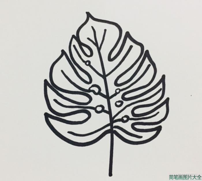 网红叶子龟背竹简笔画  第4张