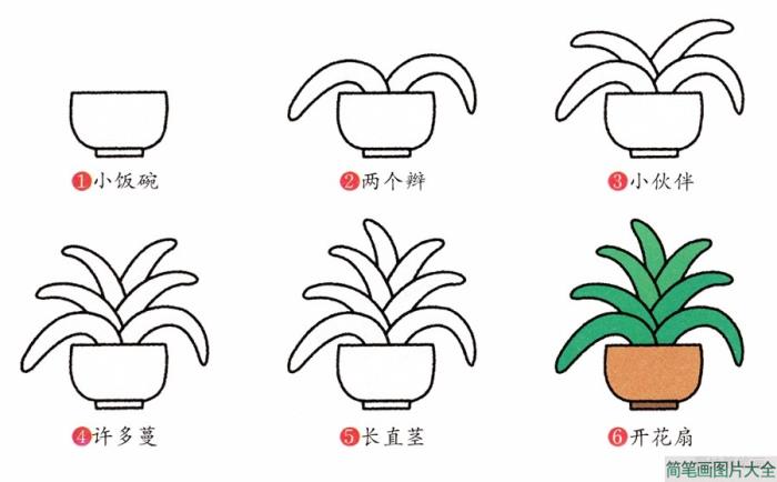 绿色植物君子兰简笔画画法