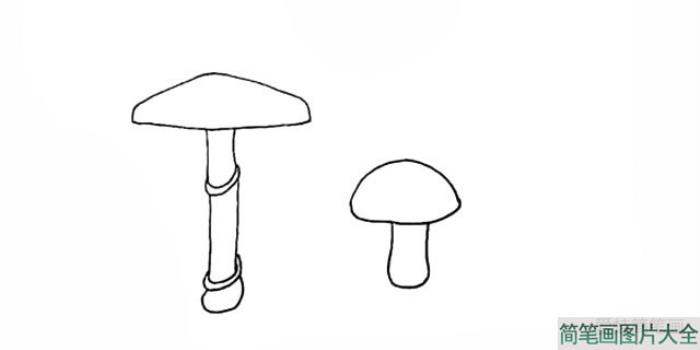 一组蘑菇简笔画  第4张