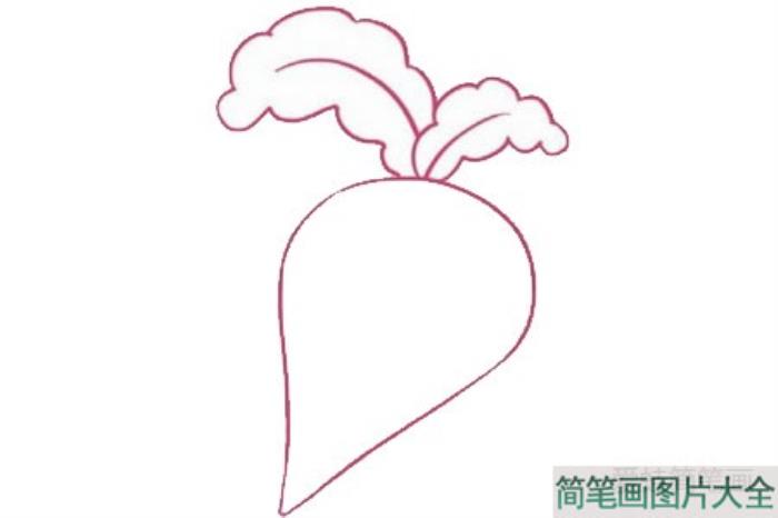 萝卜简笔画  第2张