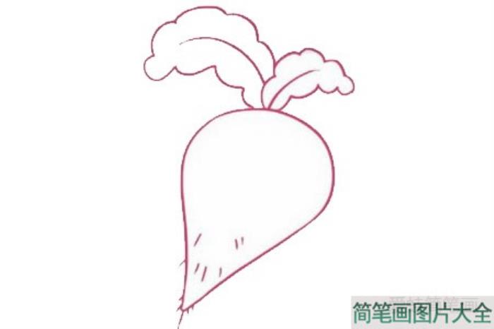 萝卜简笔画  第3张