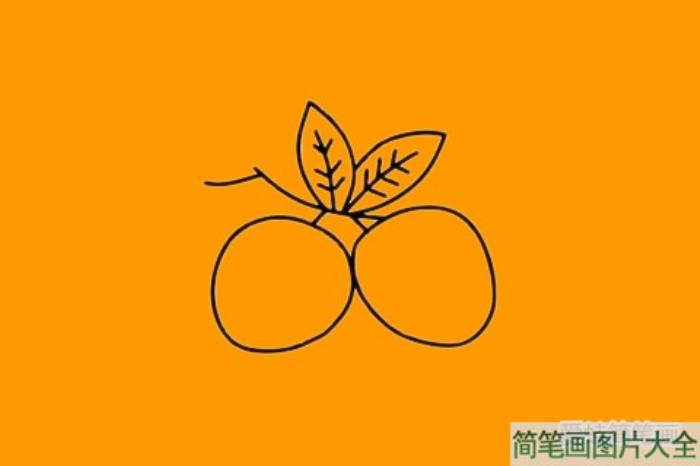 荔枝简笔画  第4张