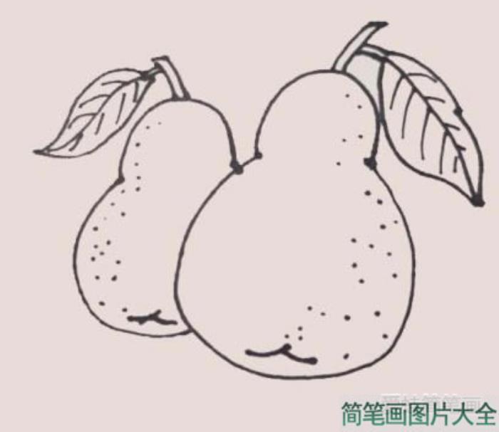 黄色梨子简笔画  第6张