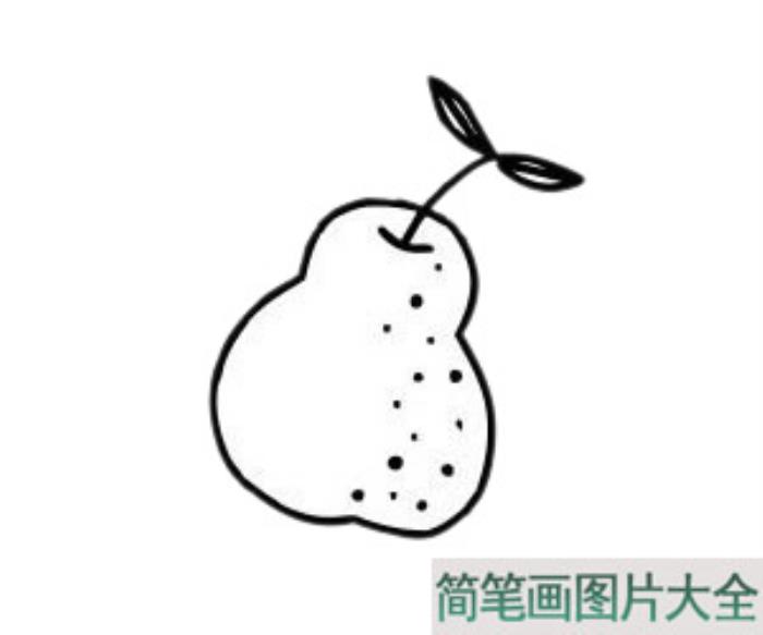 雪梨简笔画  第6张