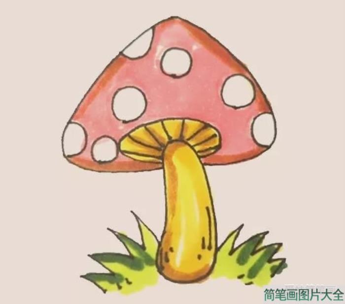 蘑菇简笔画  第6张