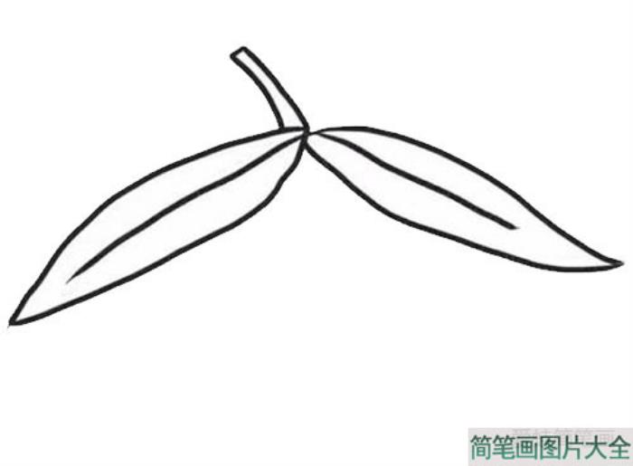 彩色芒果简笔画  第4张