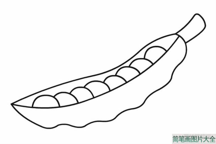 豌豆彩色画法简笔画  第3张