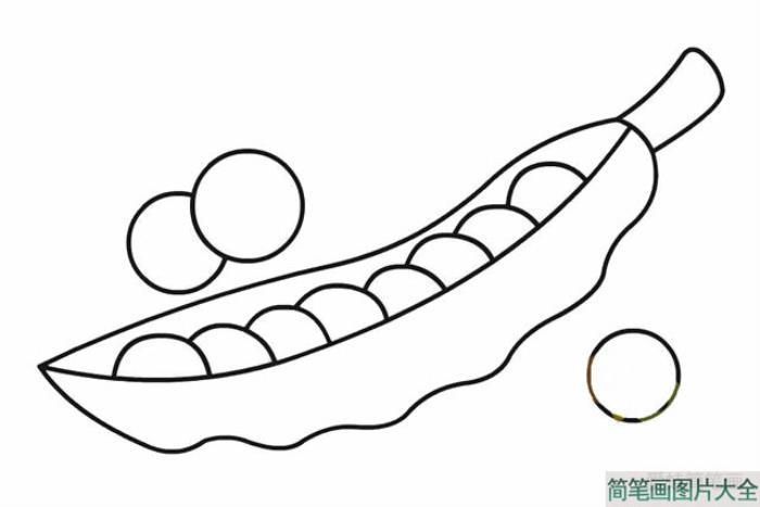 豌豆彩色画法简笔画  第4张