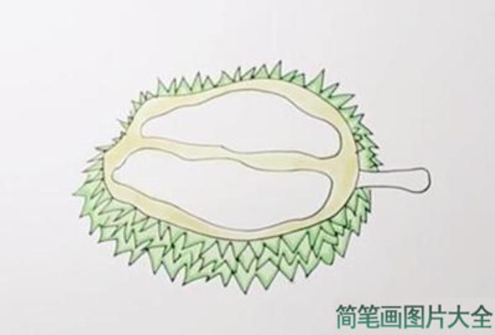 彩色榴莲简笔画  第3张