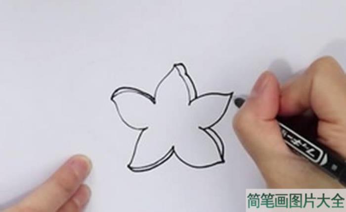 杨桃简笔画  第1张