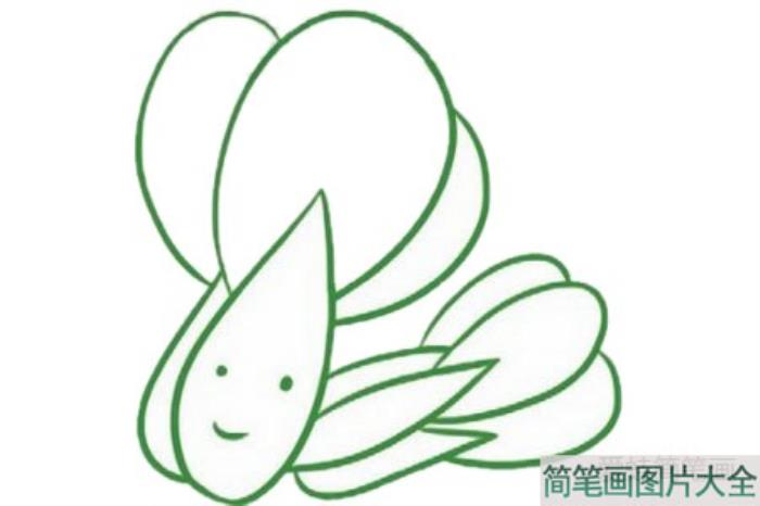 简单四步画出油菜简笔画  第3张