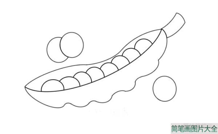 最简单的豌豆怎么画  第4张