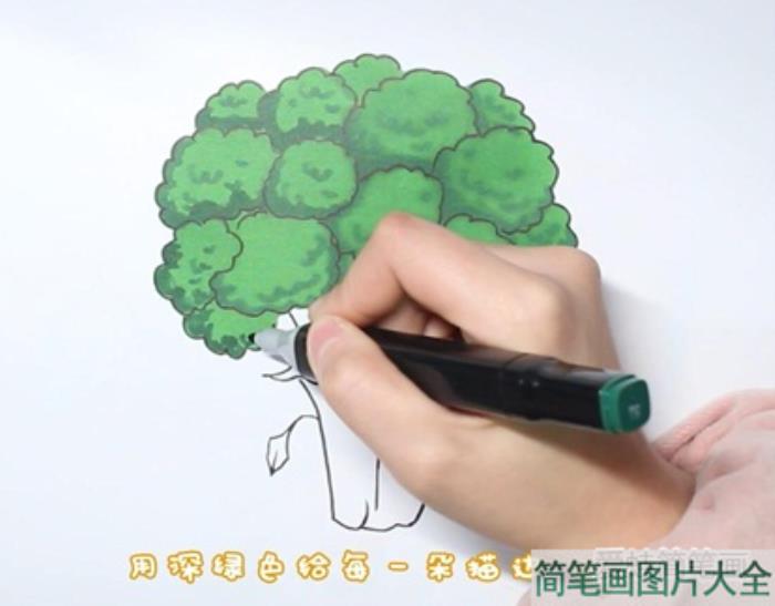 西兰花简笔画  第3张