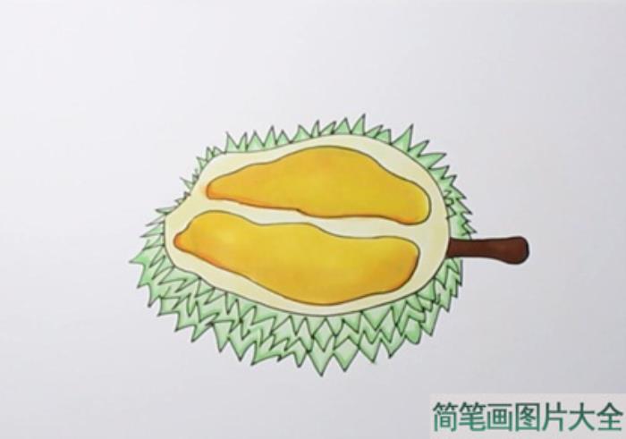 榴莲简笔画  第4张