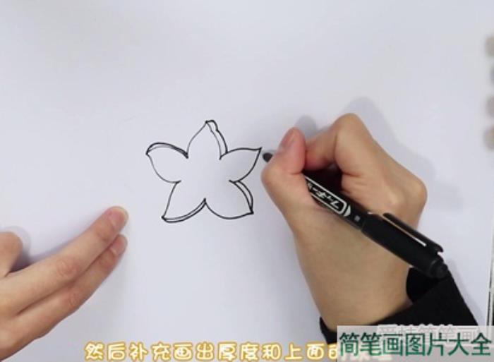 杨桃简笔画