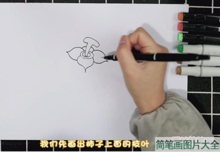 柿子简笔画